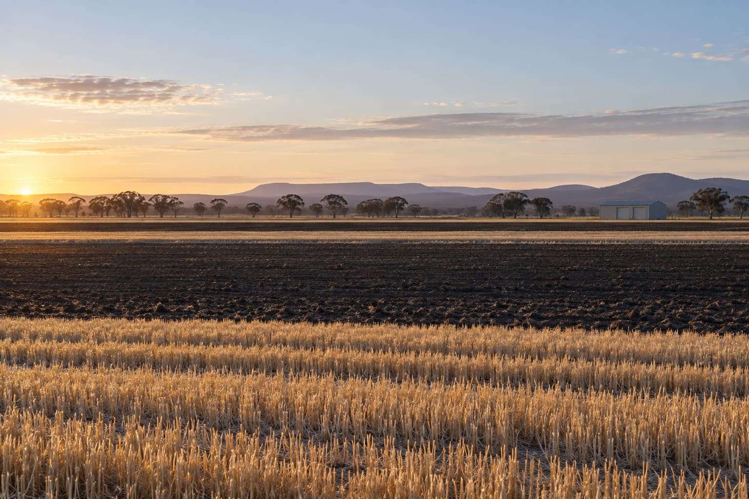 Darling Downs cropping country at sunrise with a small steel shed in the distance